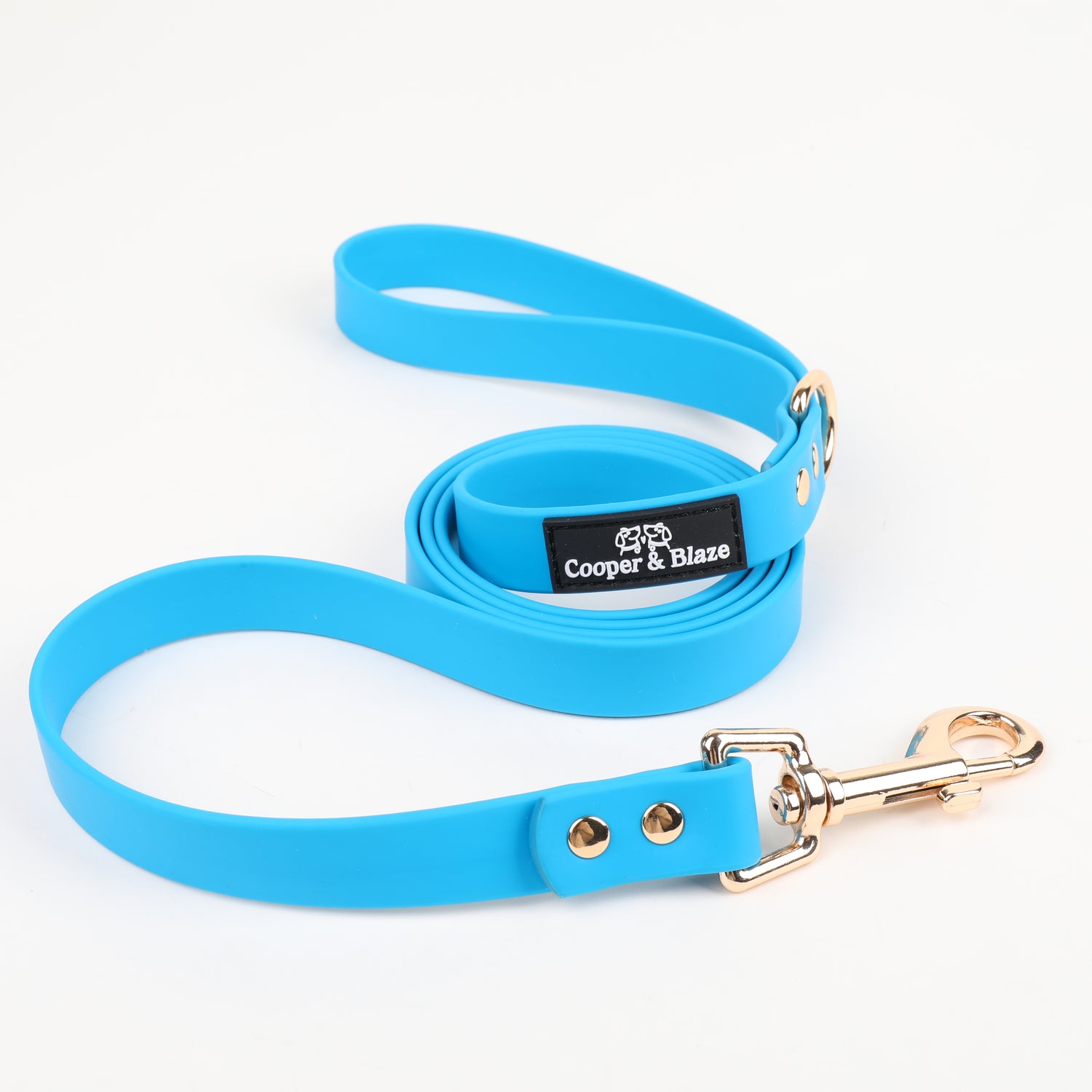 Classic Blue PlayProof PVC Leash
