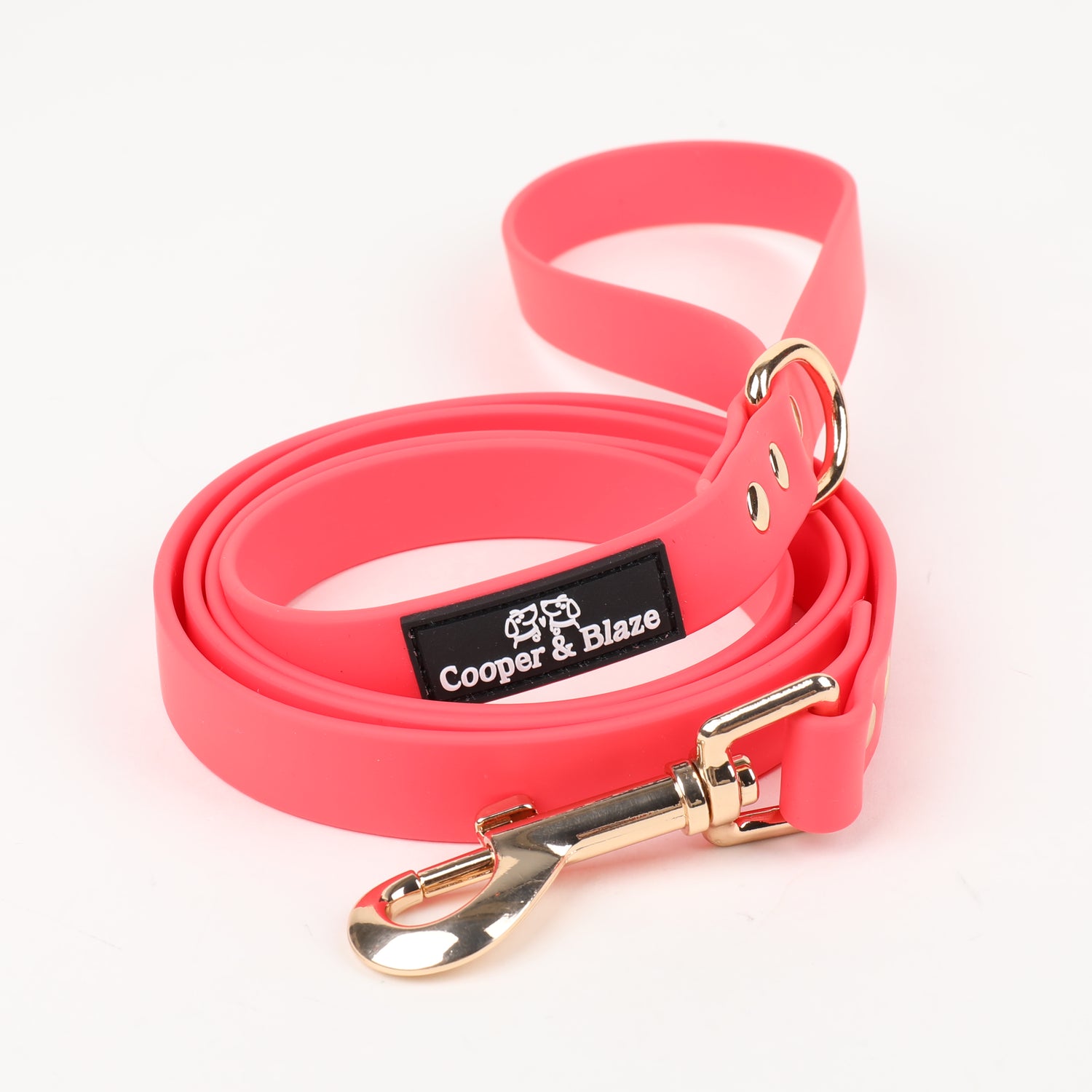 Red Rover PlayProof PVC Leash