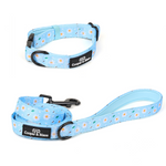 Blue Daisy Walking Set