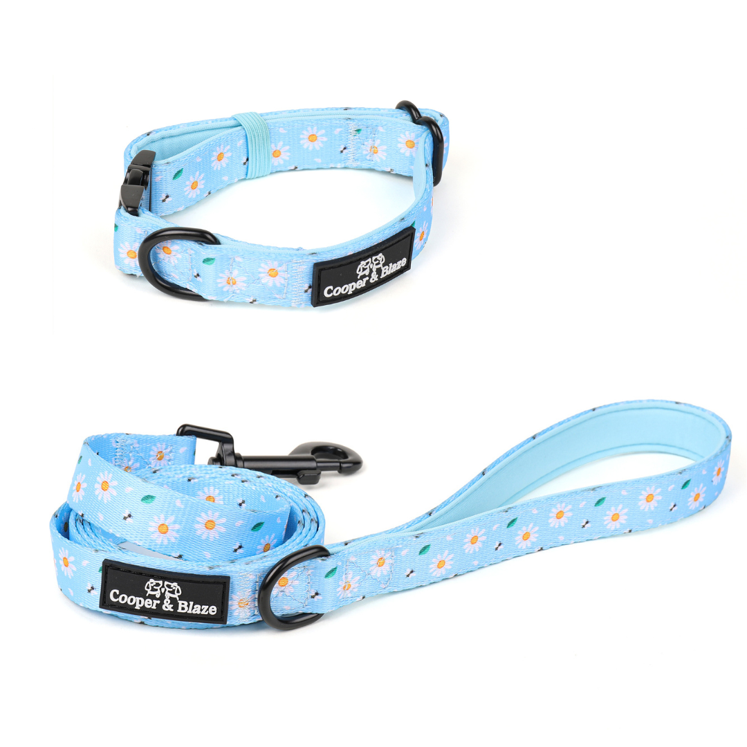 Blue Daisy Walking Set