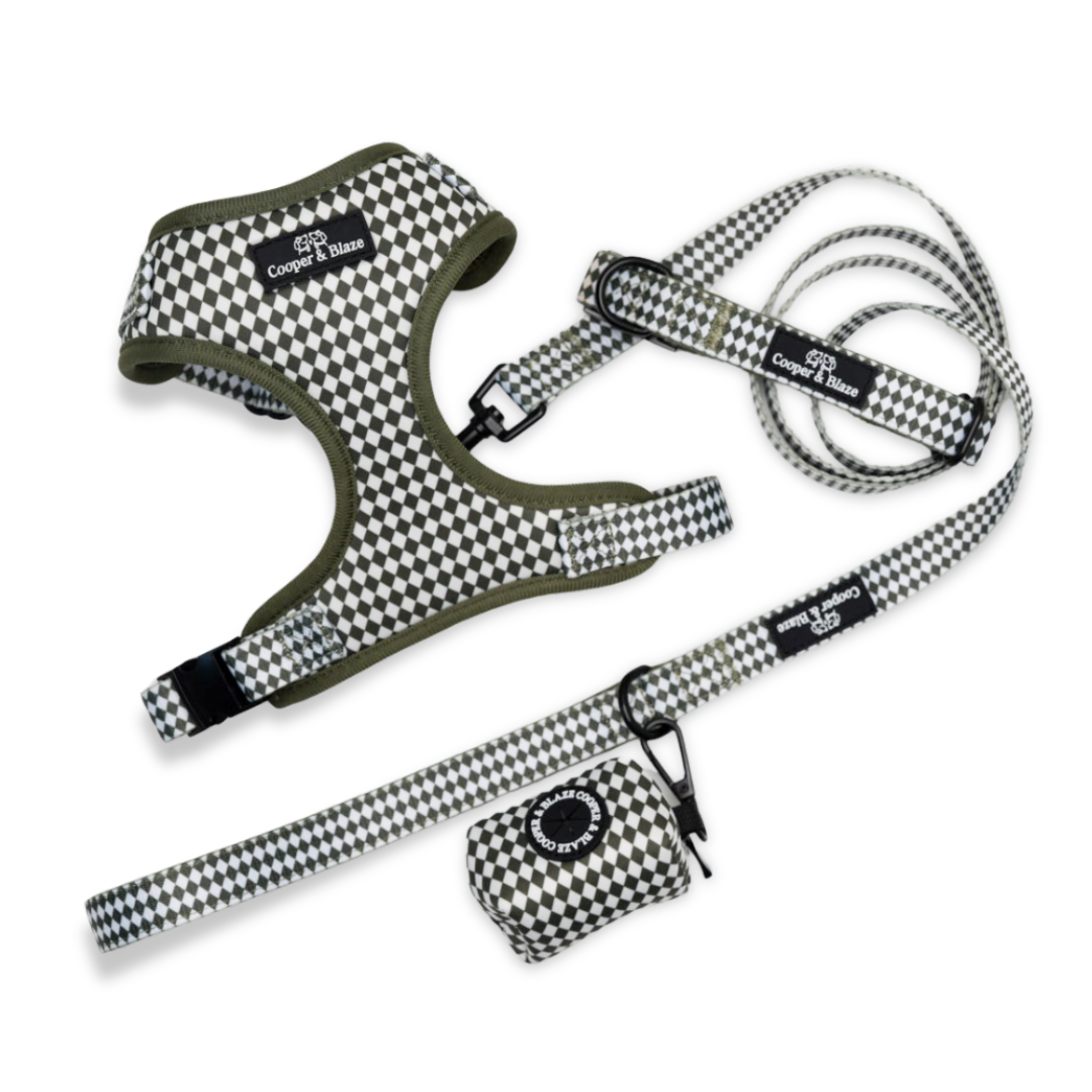 Olive Check Dog Everyday Essentials Bundle