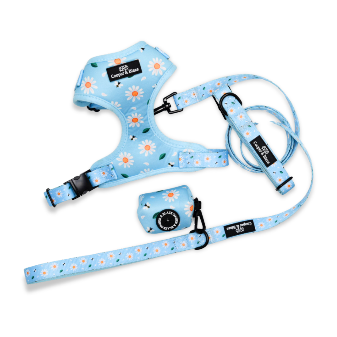 Blue Daisy Everyday Essentials Bundle