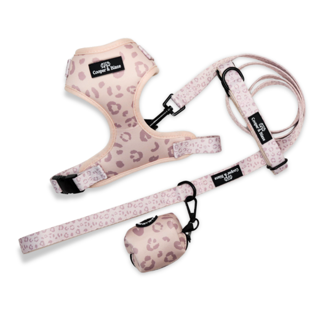 Leopard Luxe Everyday Dog Essentials Bundle