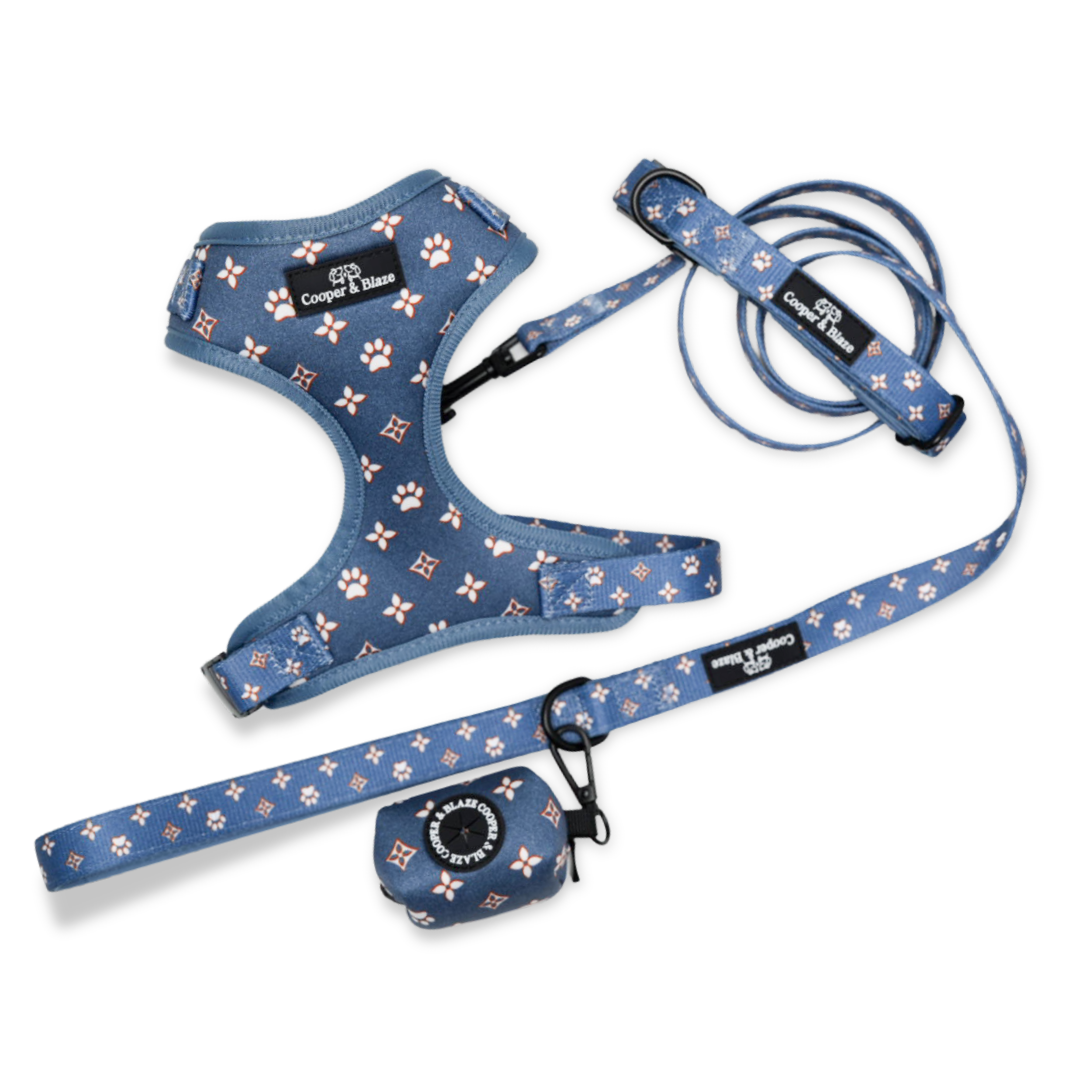 Royale Denim Dog Everyday Essentials Bundle