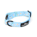 Blue Daisy Collar