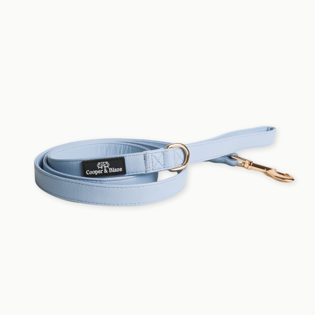 Bluebell Vegan Leather Leash