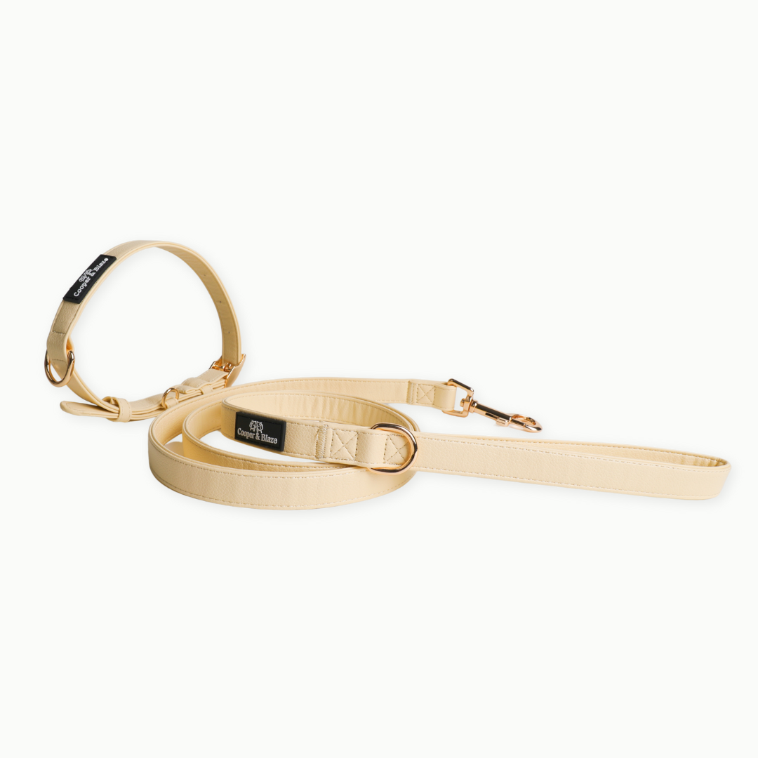 Butter Yellow Vegan Leather Walking Set