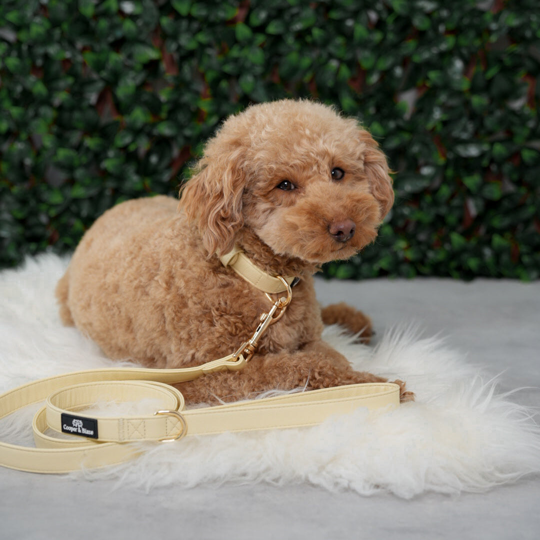 Butter Yellow Vegan Leather Walking Set