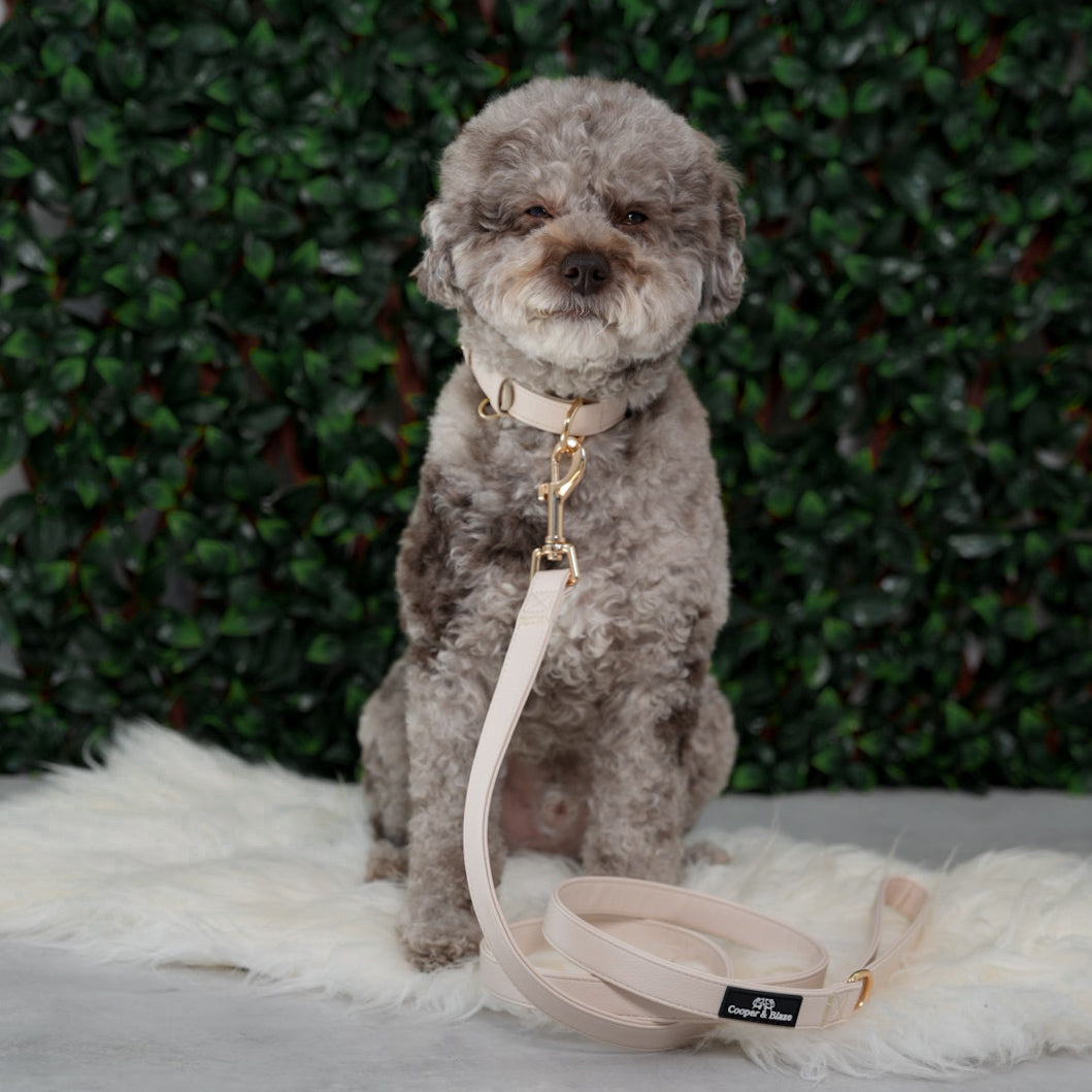 Ivory Vegan Leather Leash