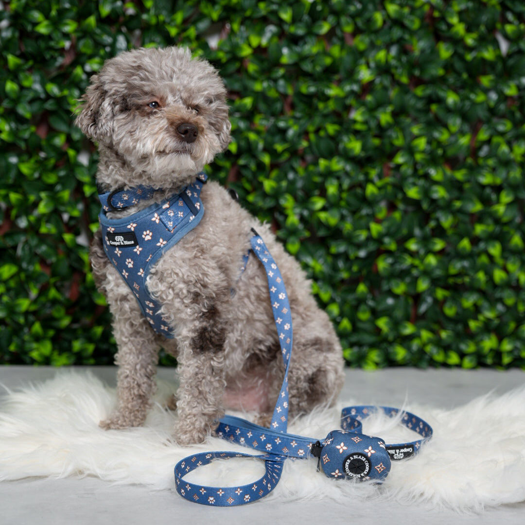 Royale Denim Harness
