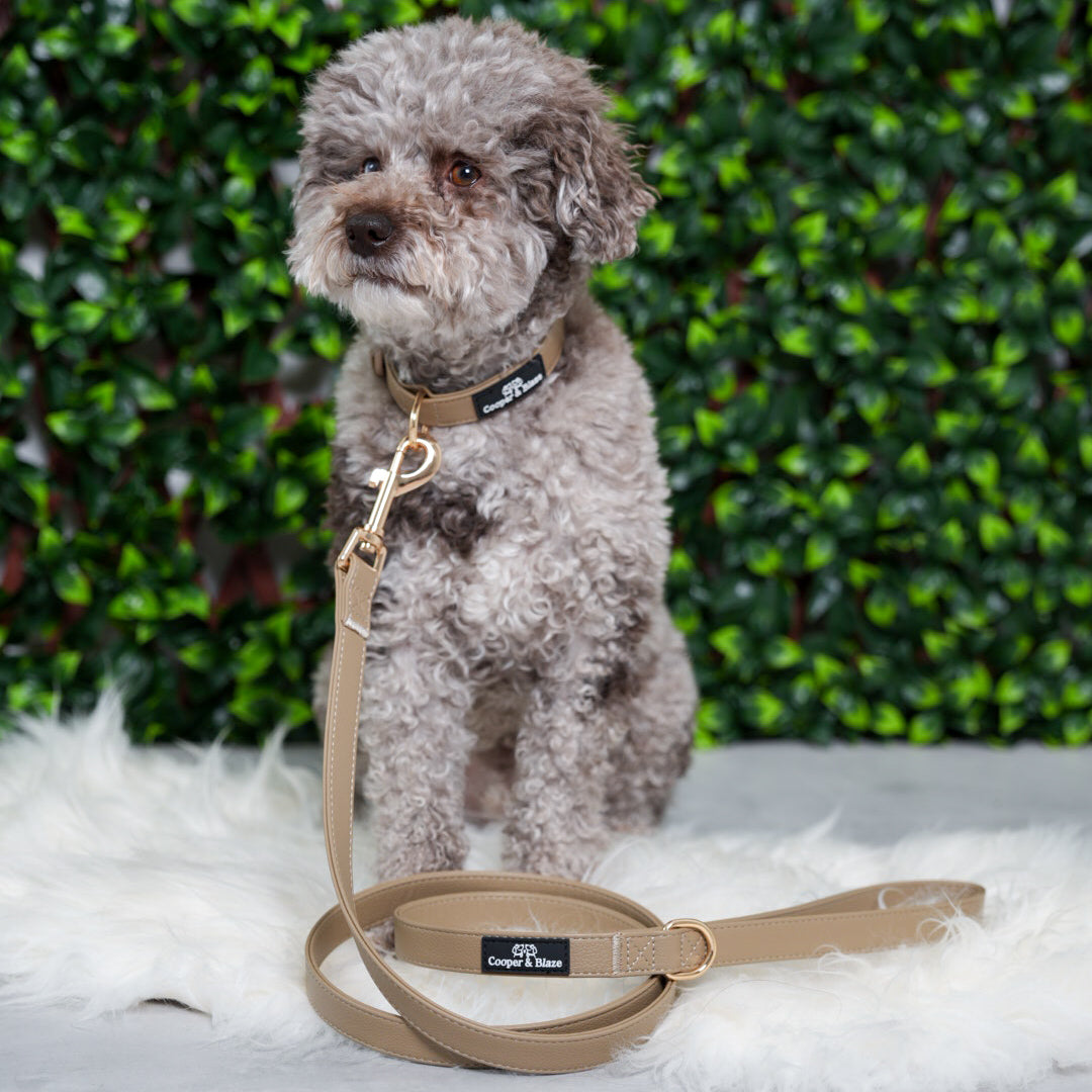 Classic Taupe Vegan Leather Walking Set