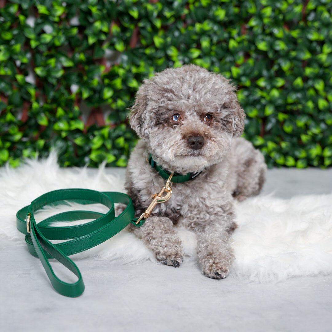 Evergreen Vegan Leather Leash