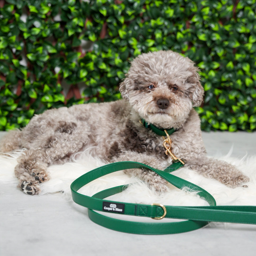 Evergreen Vegan Leather Walking Bundle