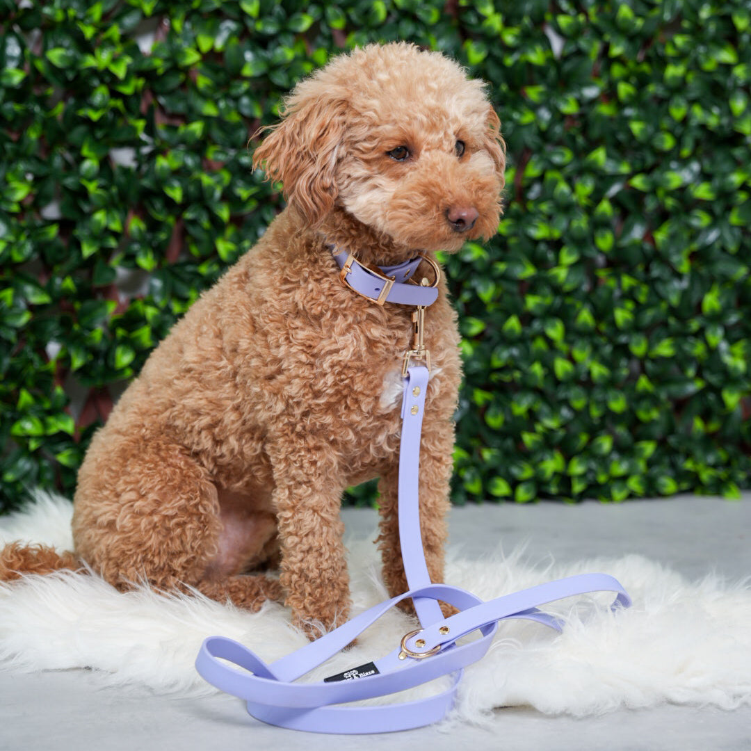 Lavender Breeze  PlayProof PVC Walking Set
