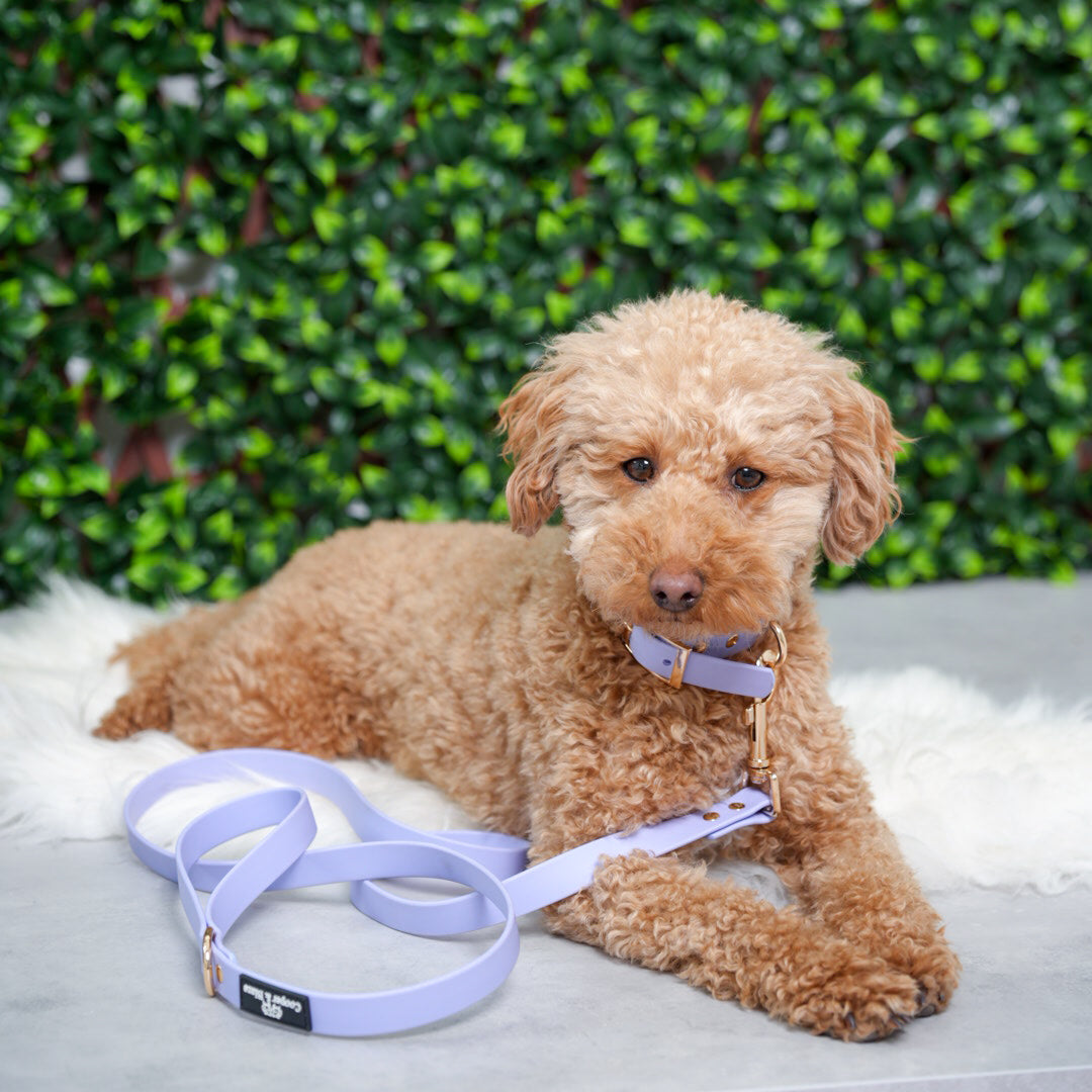 Lavender Breeze PlayProof PVC Leash