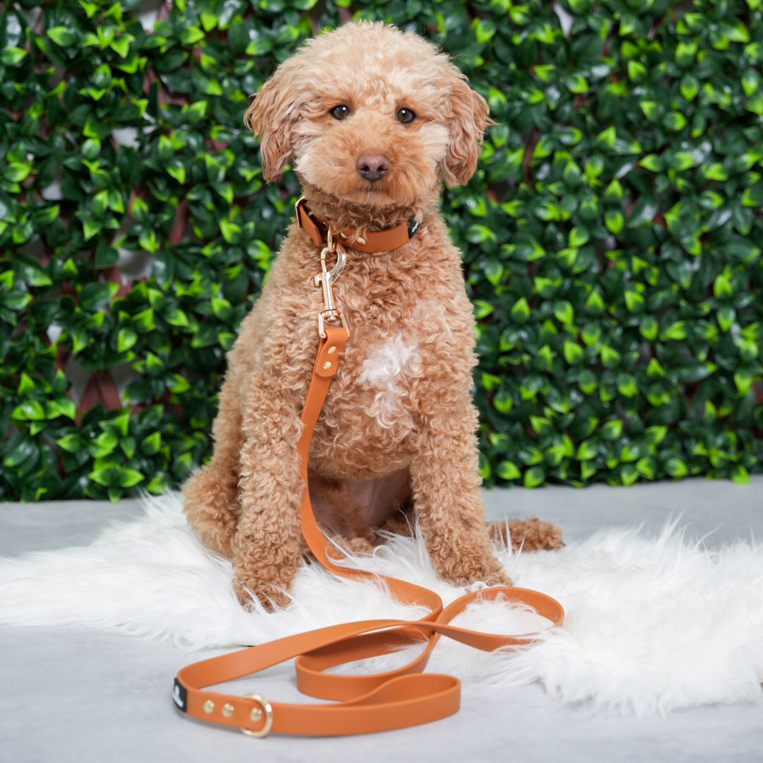 Saddle Brown PlayProof PVC Walking Set