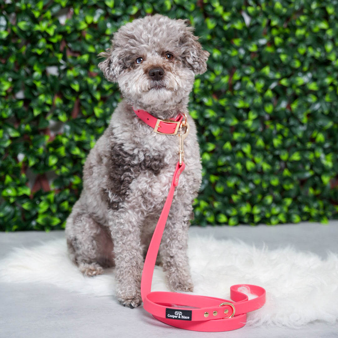 Red Rover PlayProof PVC Walking Set