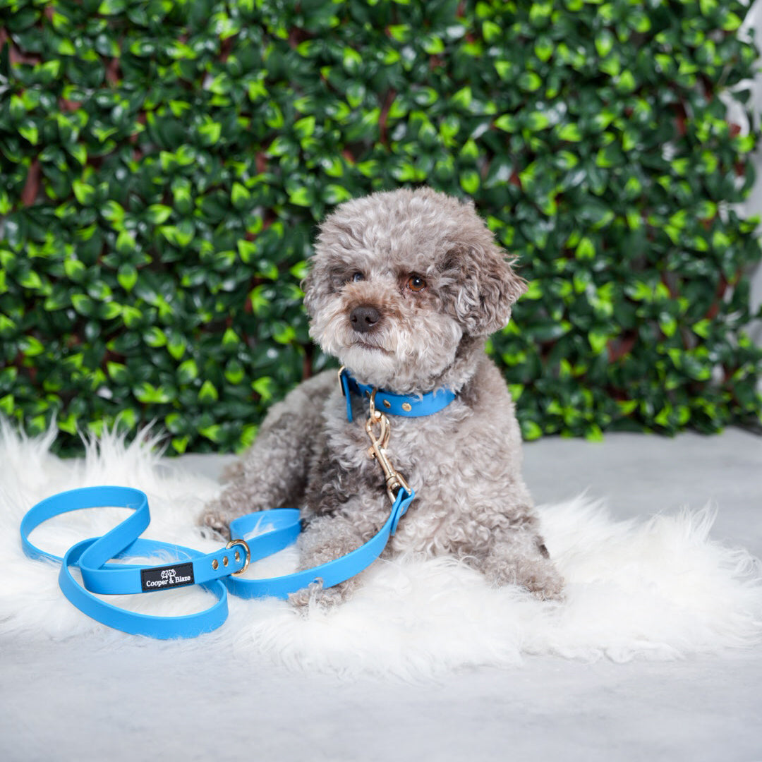 Classic Blue PlayProof PVC Walking Set