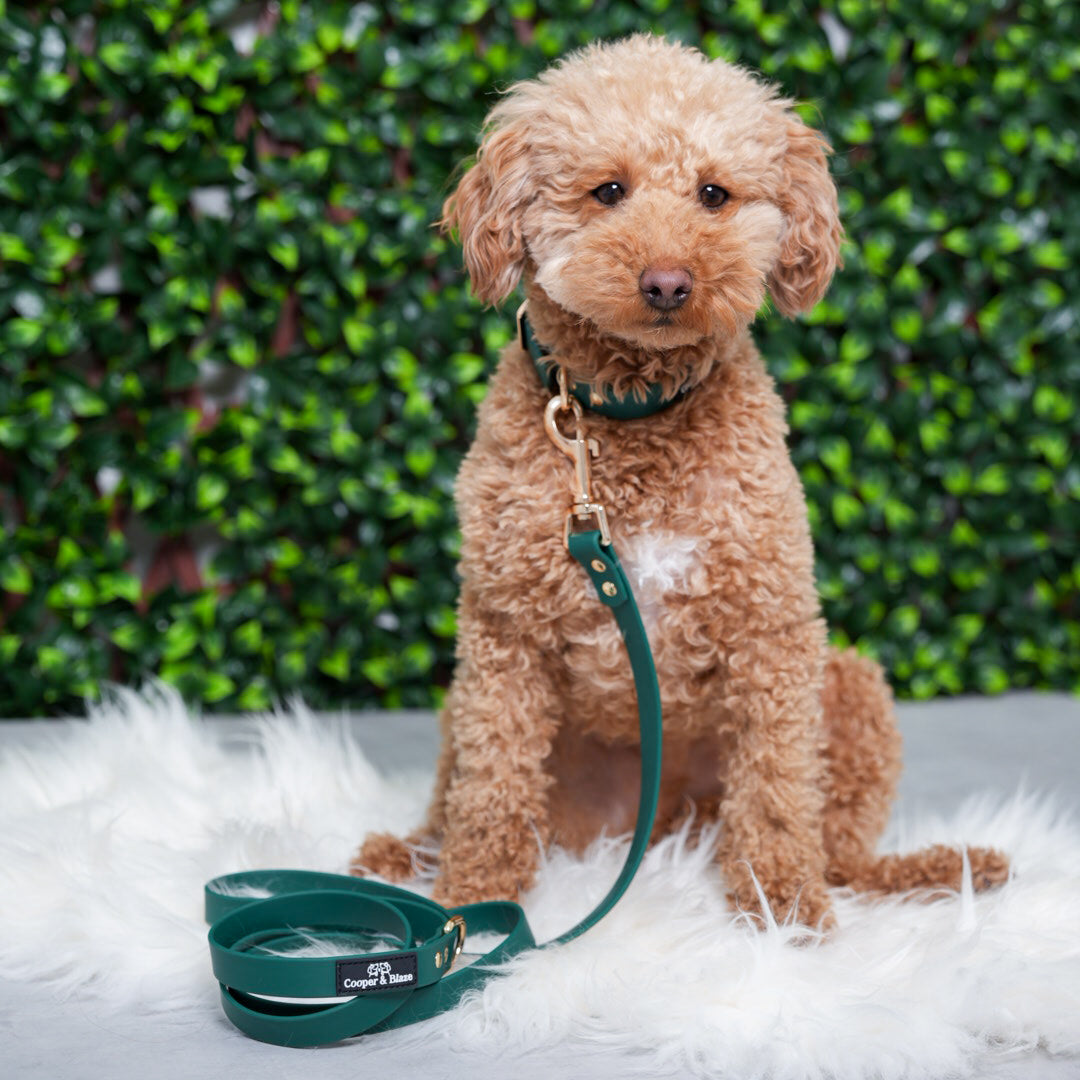 Hunter Green PlayProof PVC Leash