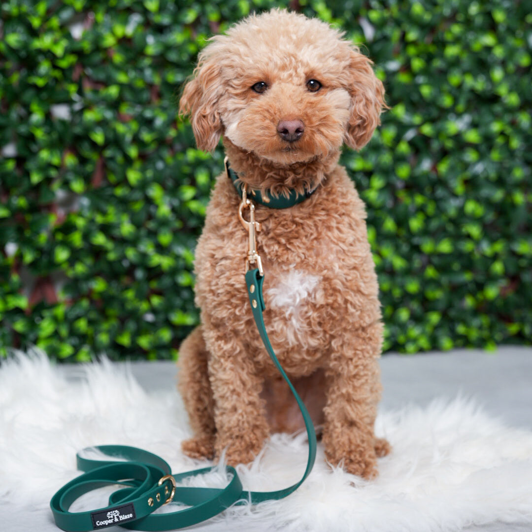 Hunter Green PlayProof PVC Walking Set