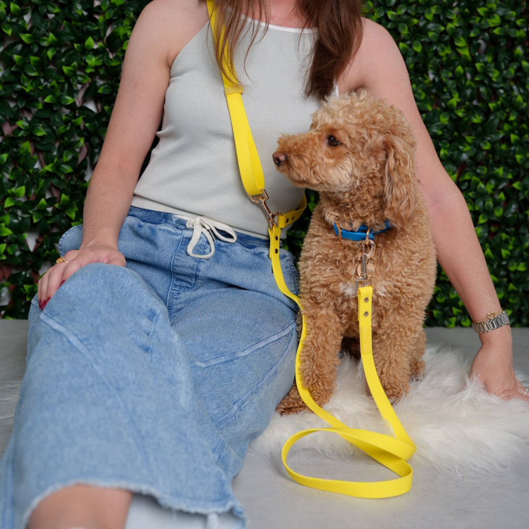 Sunny Yellow 4-in-1 Convertible Hands Free Leash