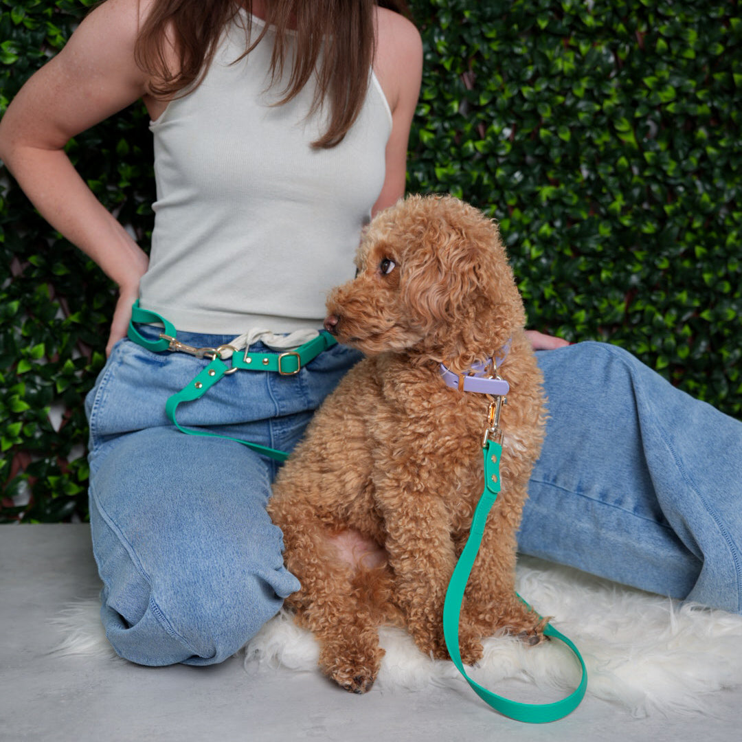 Kelly Green 4-in-1 Convertible Hands Free Leash