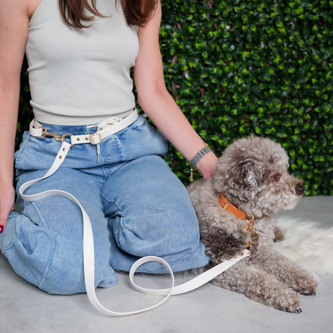 Bone White 4-in-1 Convertible Hands Free Leash