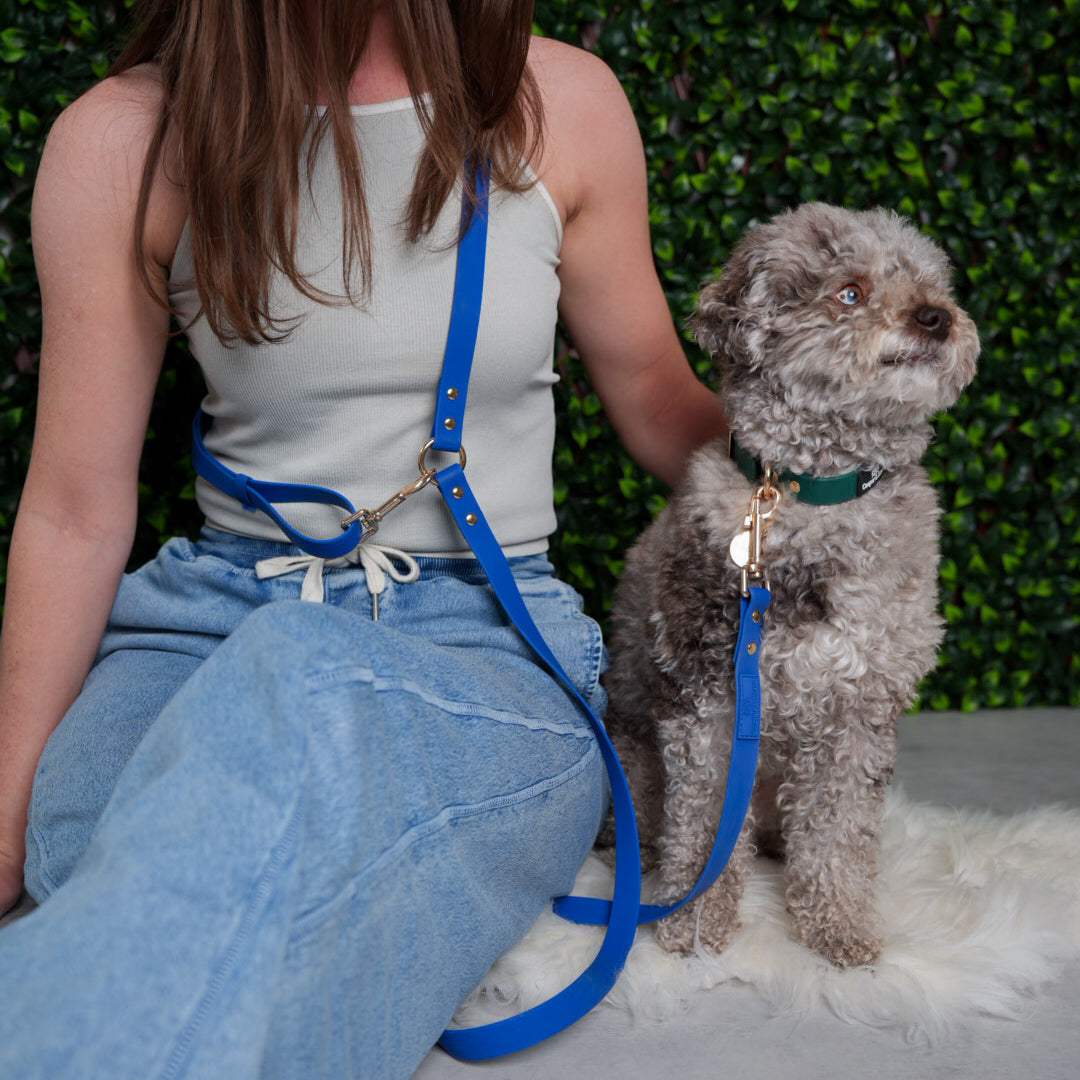 Sapphire 4-in-1 Convertible Hands Free Leash