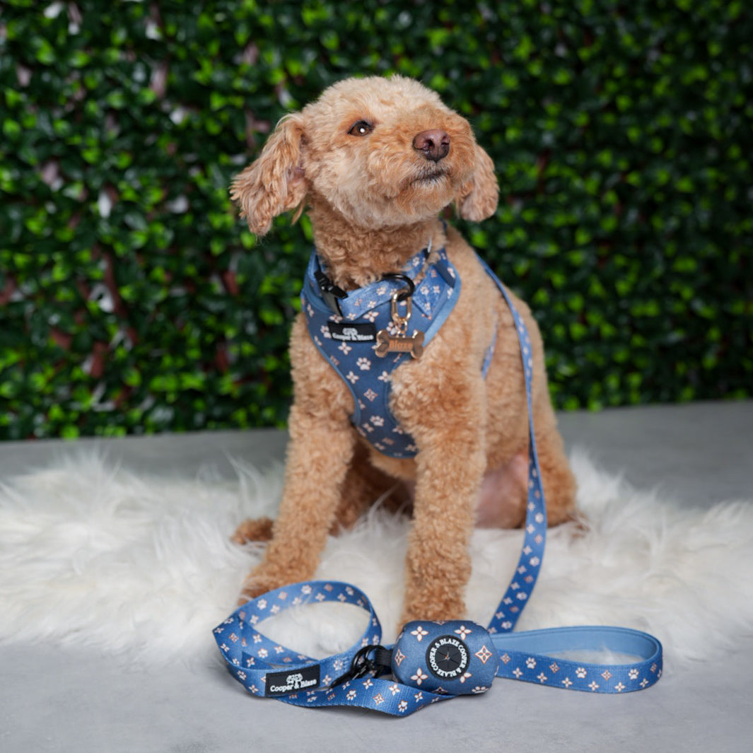 Royale Denim Collar