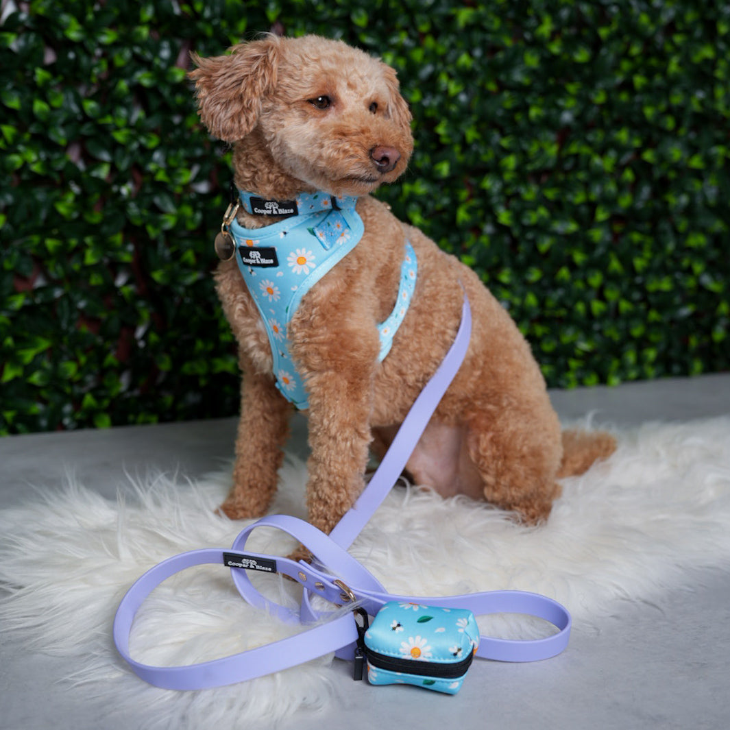 Blue Daisy Harness
