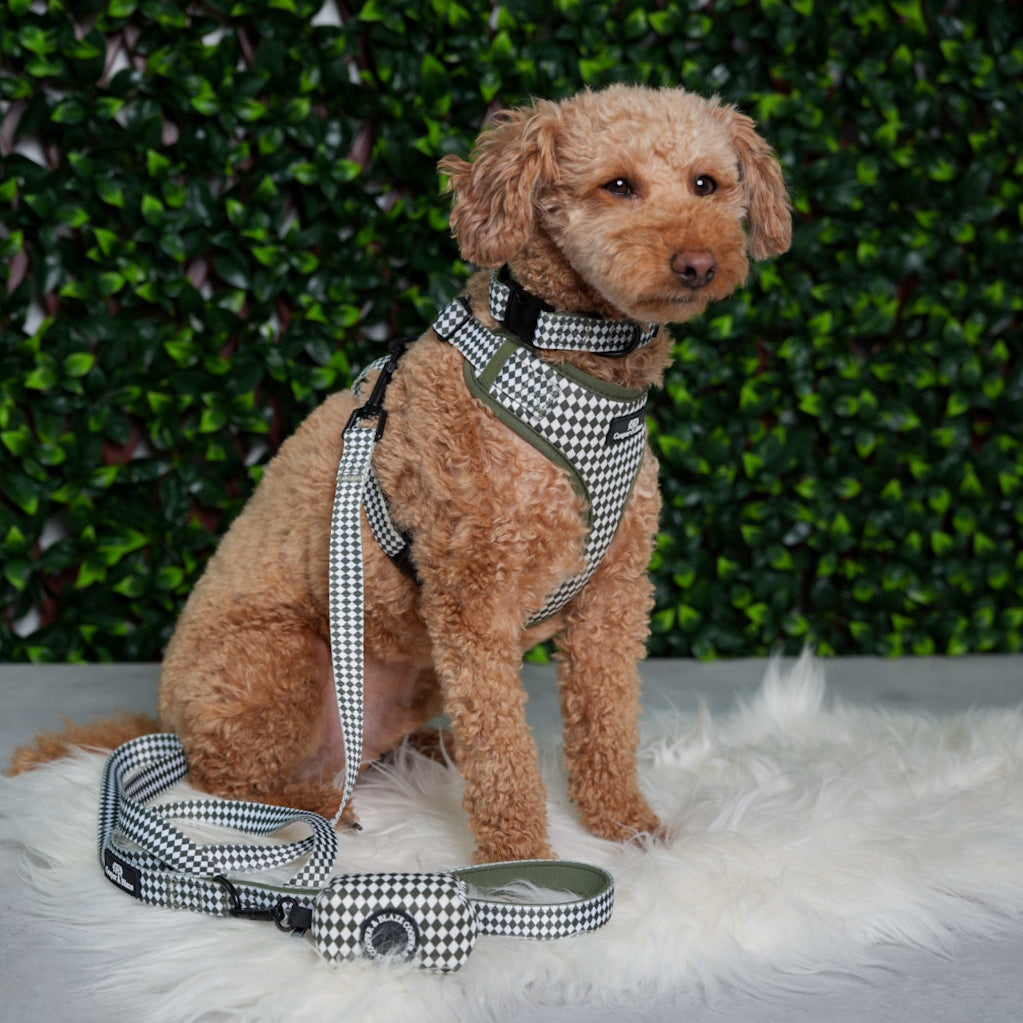 Olive Check Harness