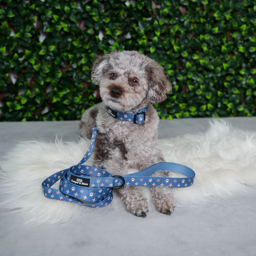 Royale Denim Walking Set