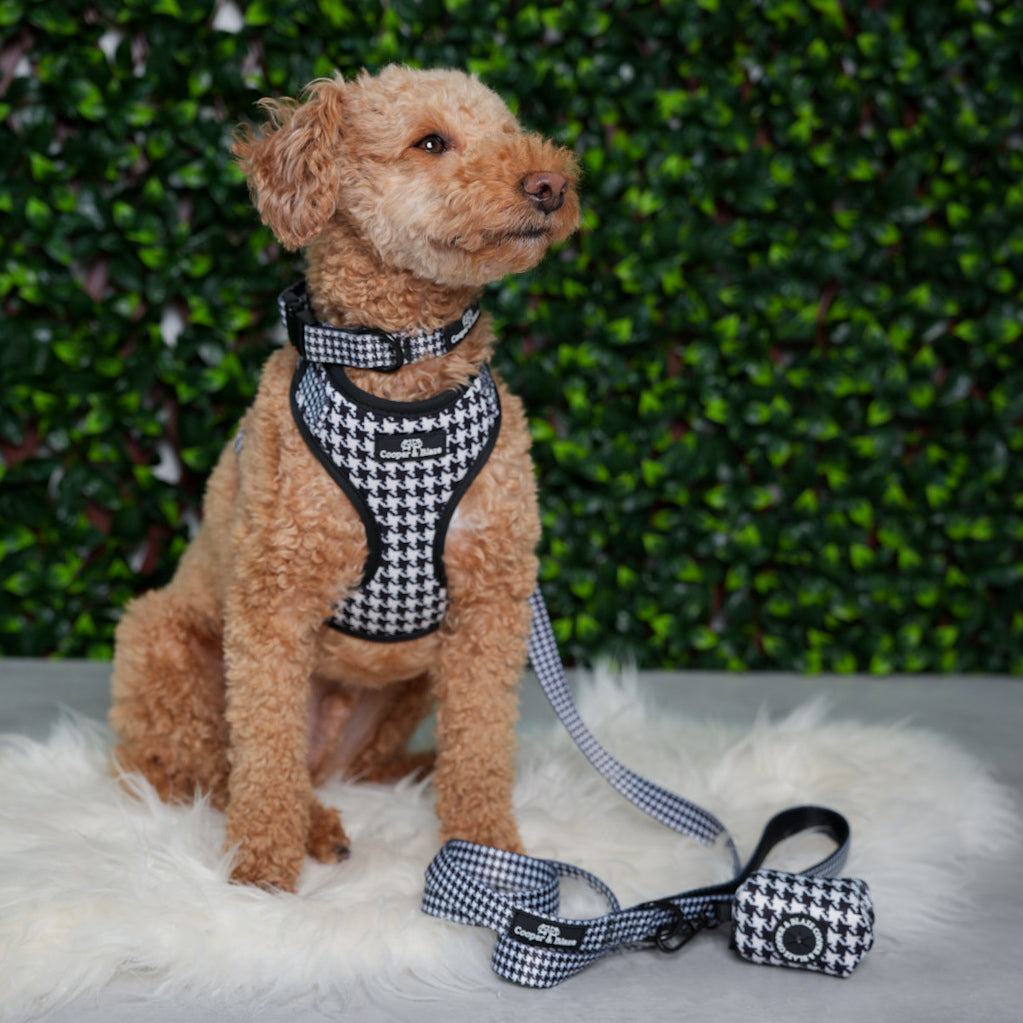 Classic Houndstooth Harness
