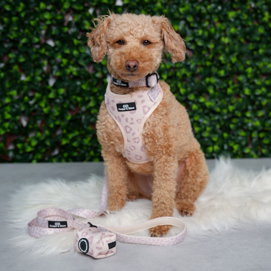 Leopard Luxe Poop Bag Holder