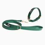 Evergreen Vegan Leather Walking Bundle