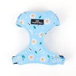 Blue Daisy Harness